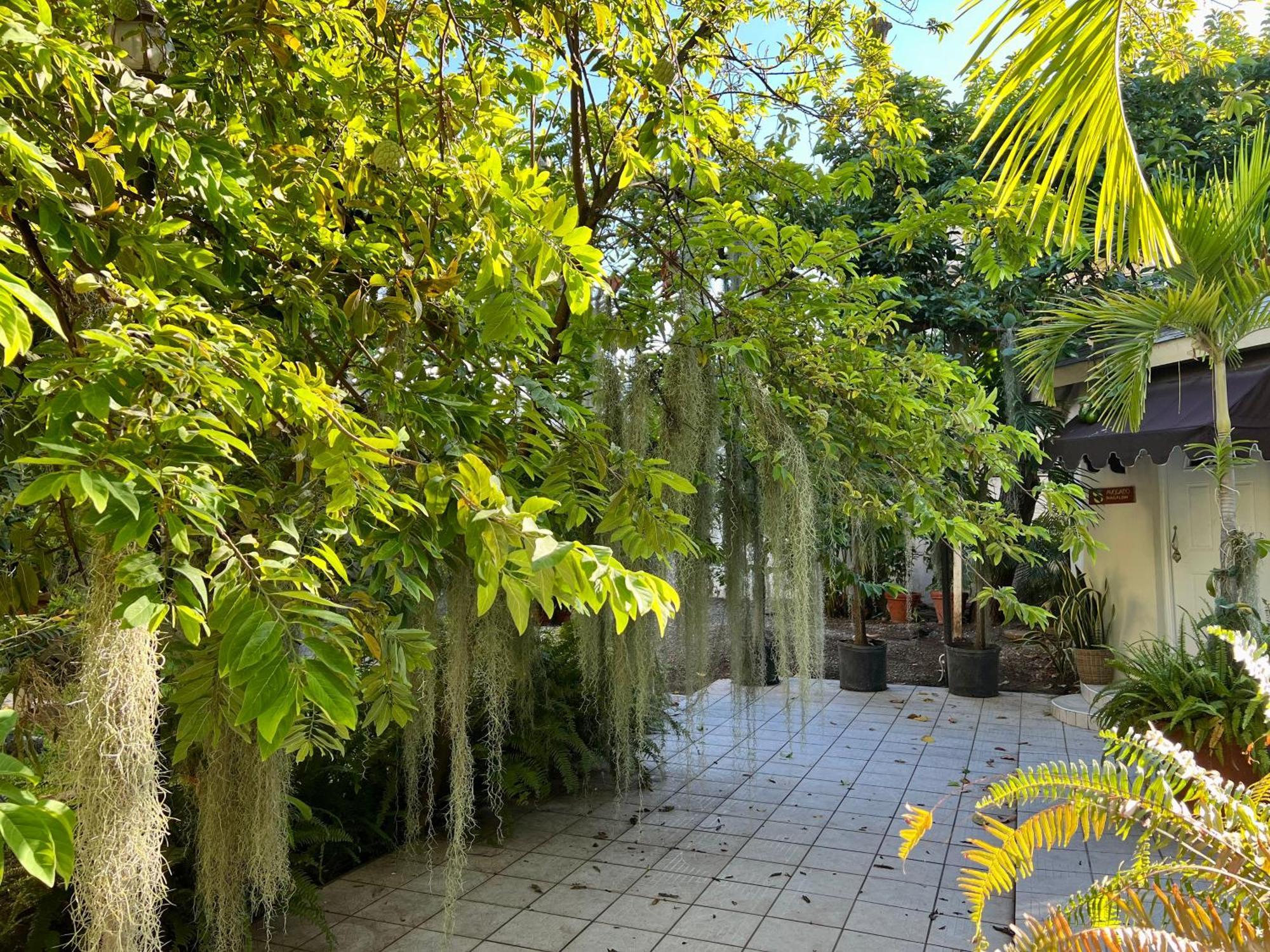 Deluxe Bungalow Garden View,1546828000:JPEG
