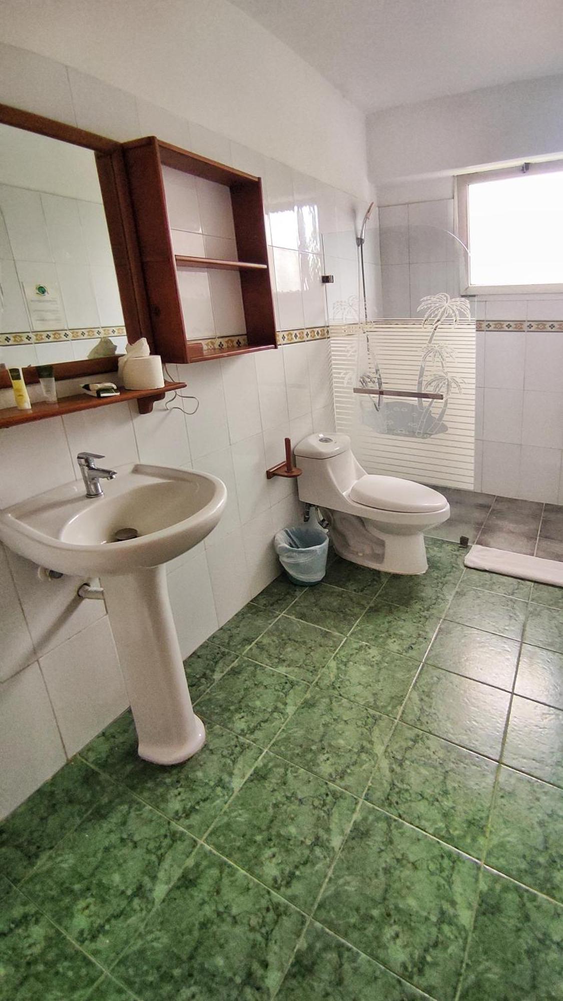 Family Double Room,1547346112:JPEG