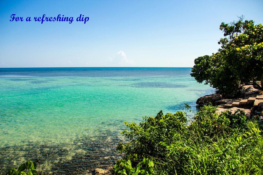 One-Bedroom House,440091201:JPEG