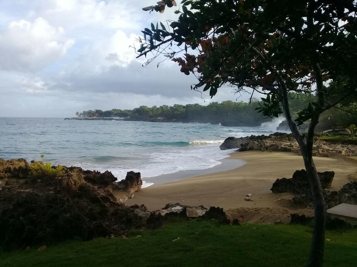 Apartment,627983760:JPEG