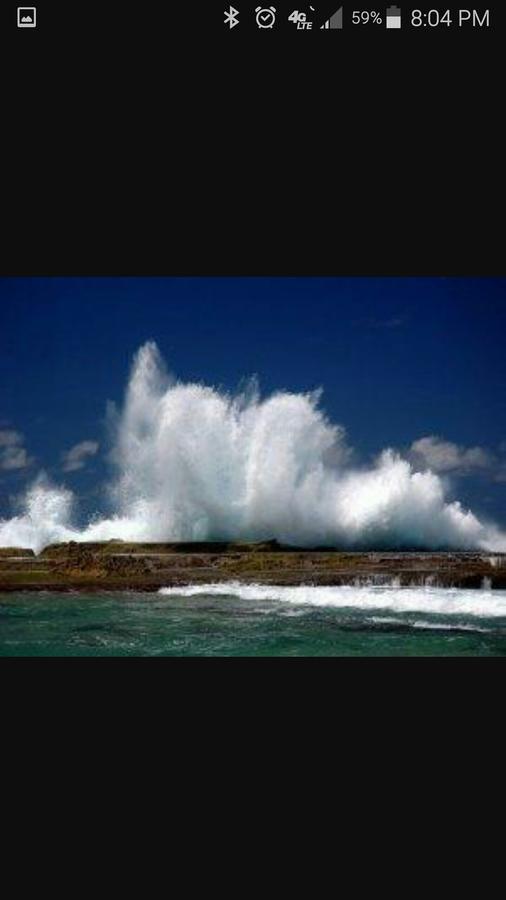 One-Bedroom Apartment,637708653:JPEG