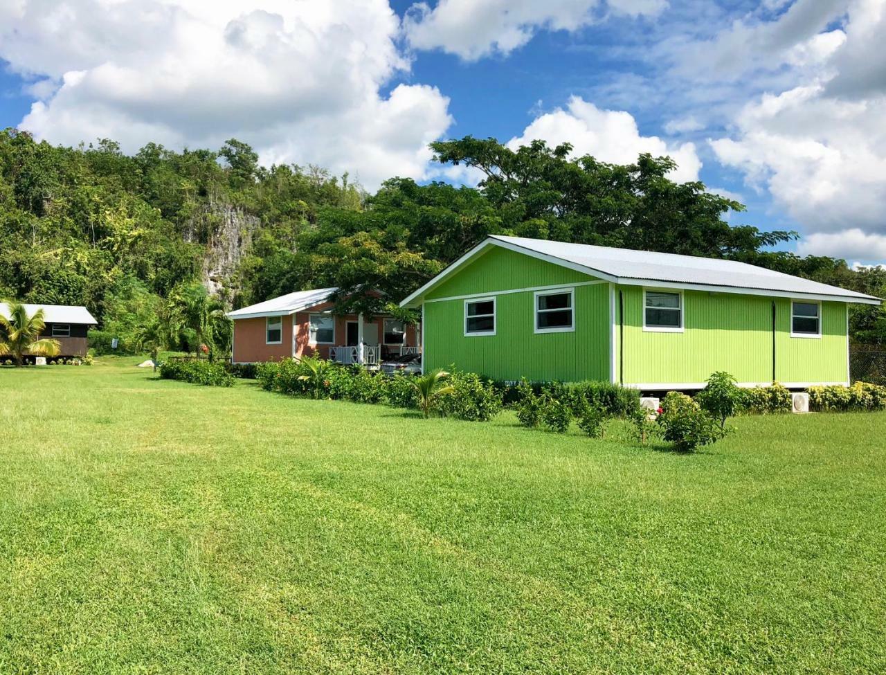 Garden View Premium Cottage,1589502251:JPEG