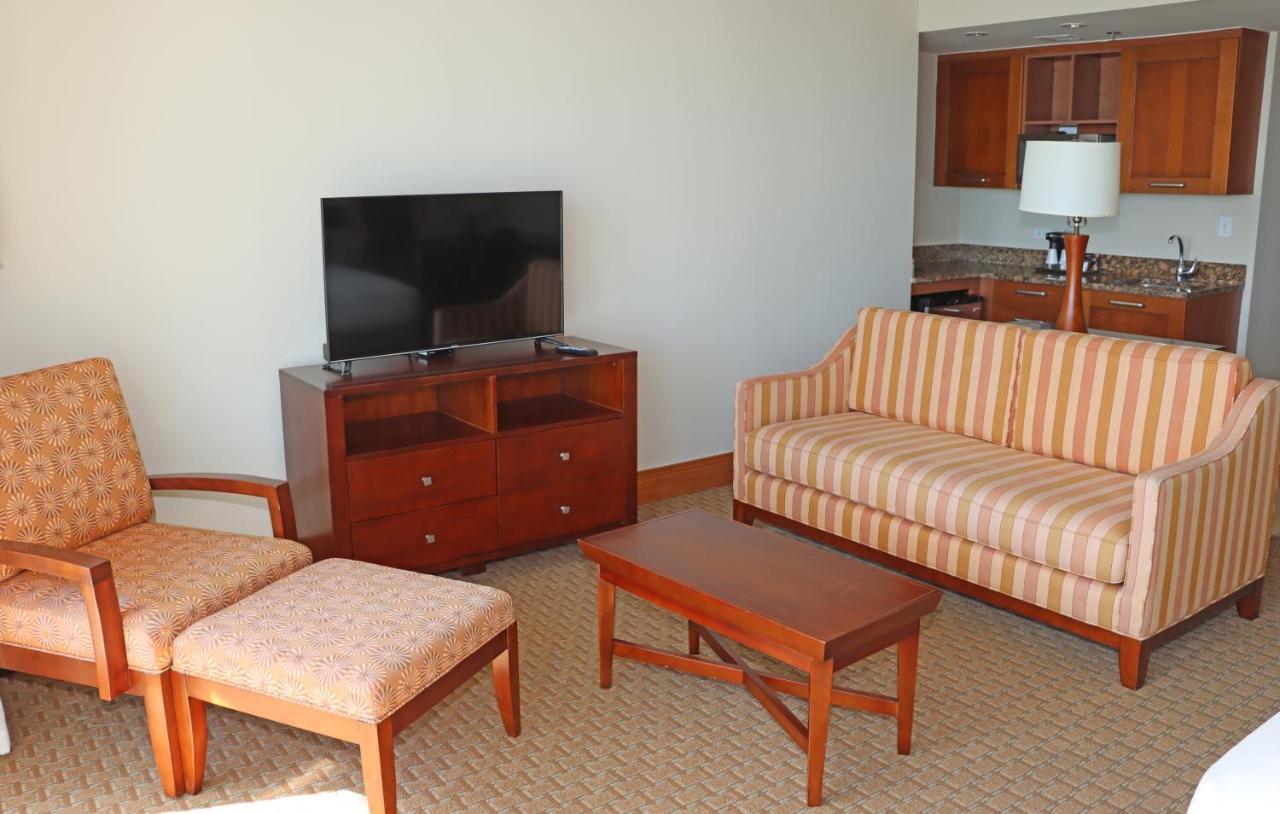 Elite Studio Suite,949581715:JPEG