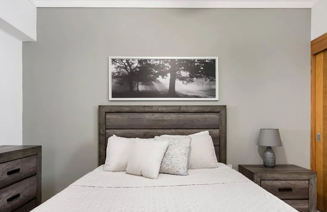 Luxurious Apartment In The Heart Of Santo Domingo-1