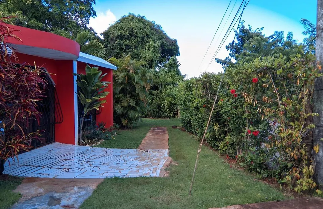 Las Galeras Island Hostel-1