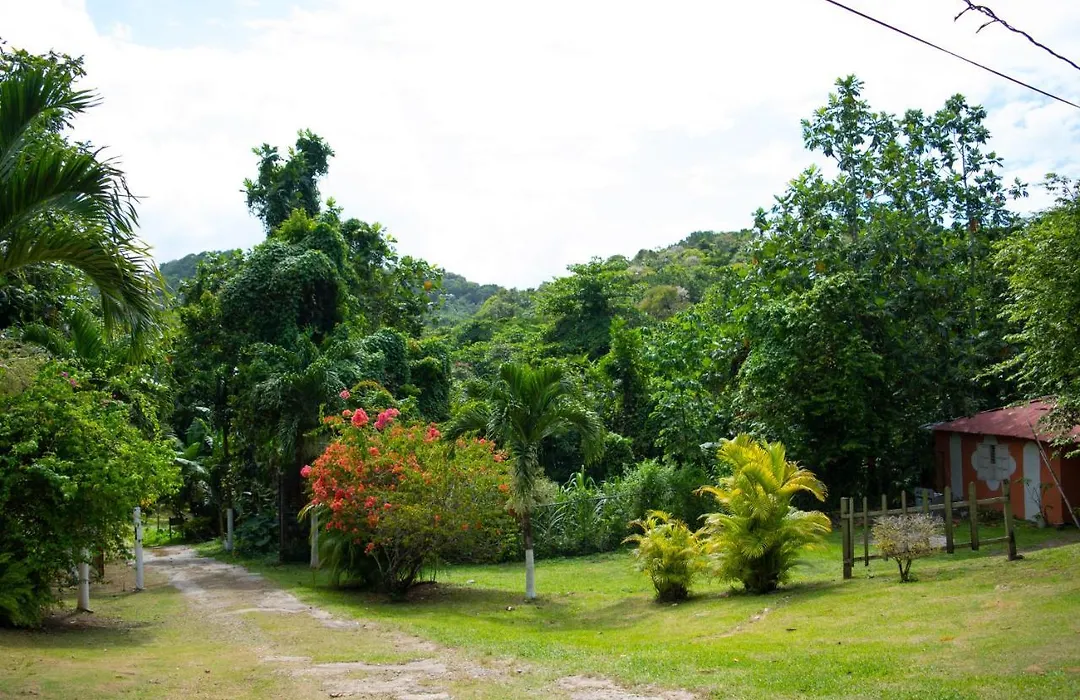 Sinopia Inn-1