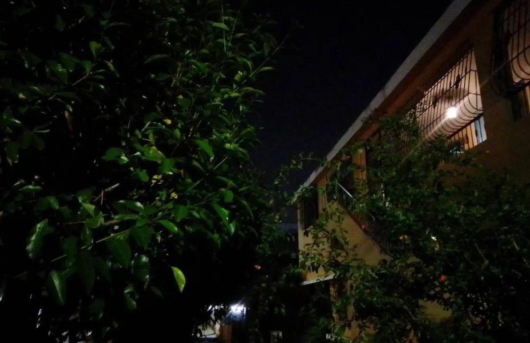 Casa D9-1