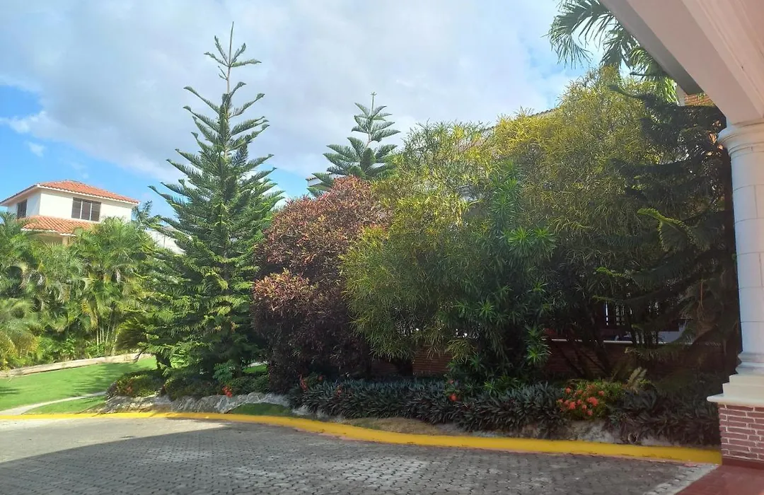 Casa Aly-1