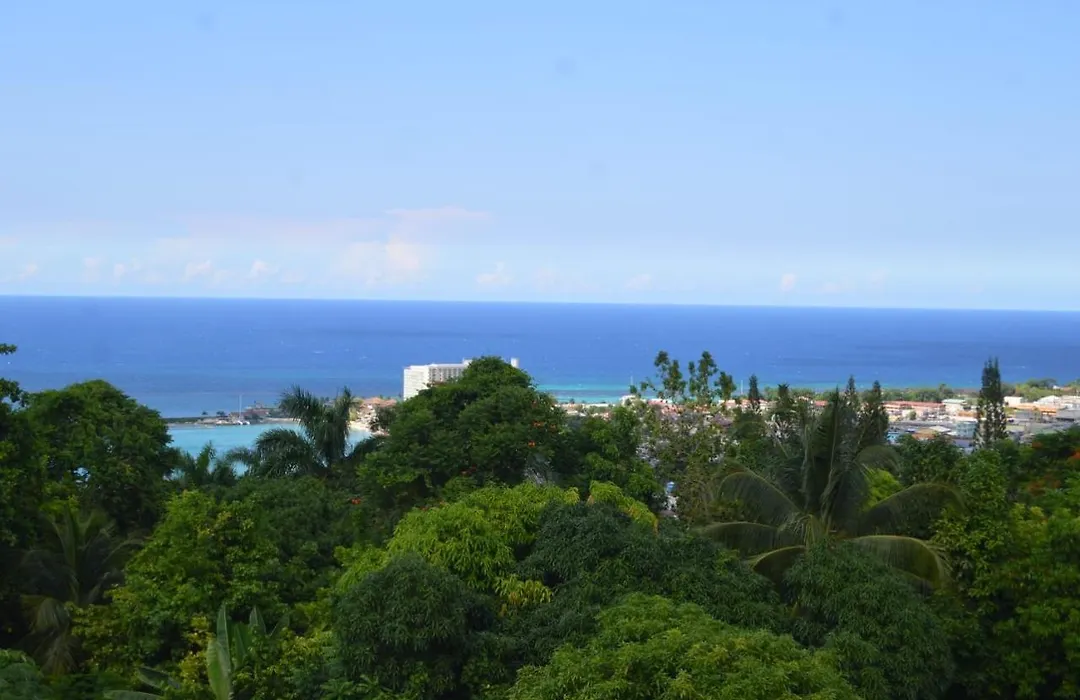 Villa Dianna - Entire Villa, Roof Terrace, Pool, Garden, Sea Views Near Dunn'S River-1