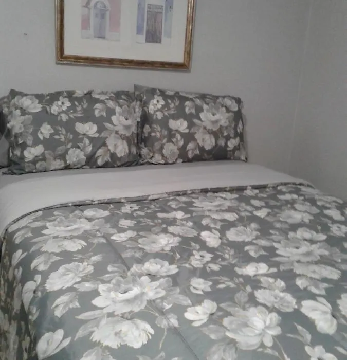 Nuevo Y Remodelado Apartamento En Carolina-1