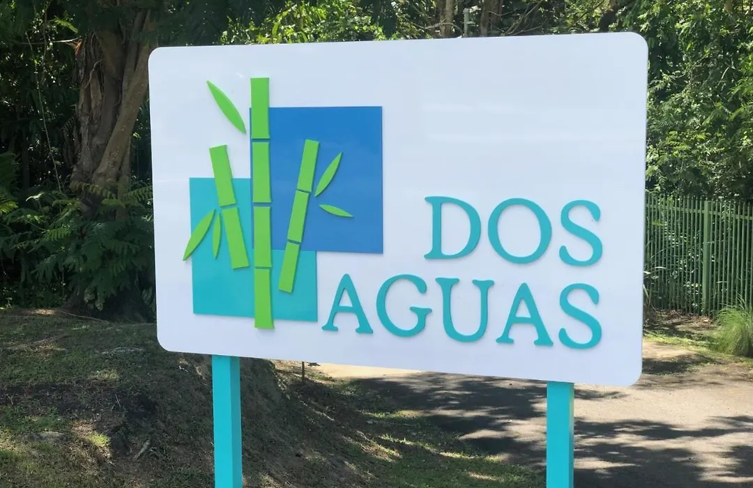 Dos Aguas-1