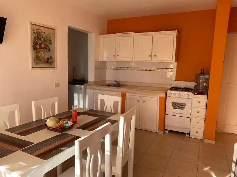 Sunny Apartment-1