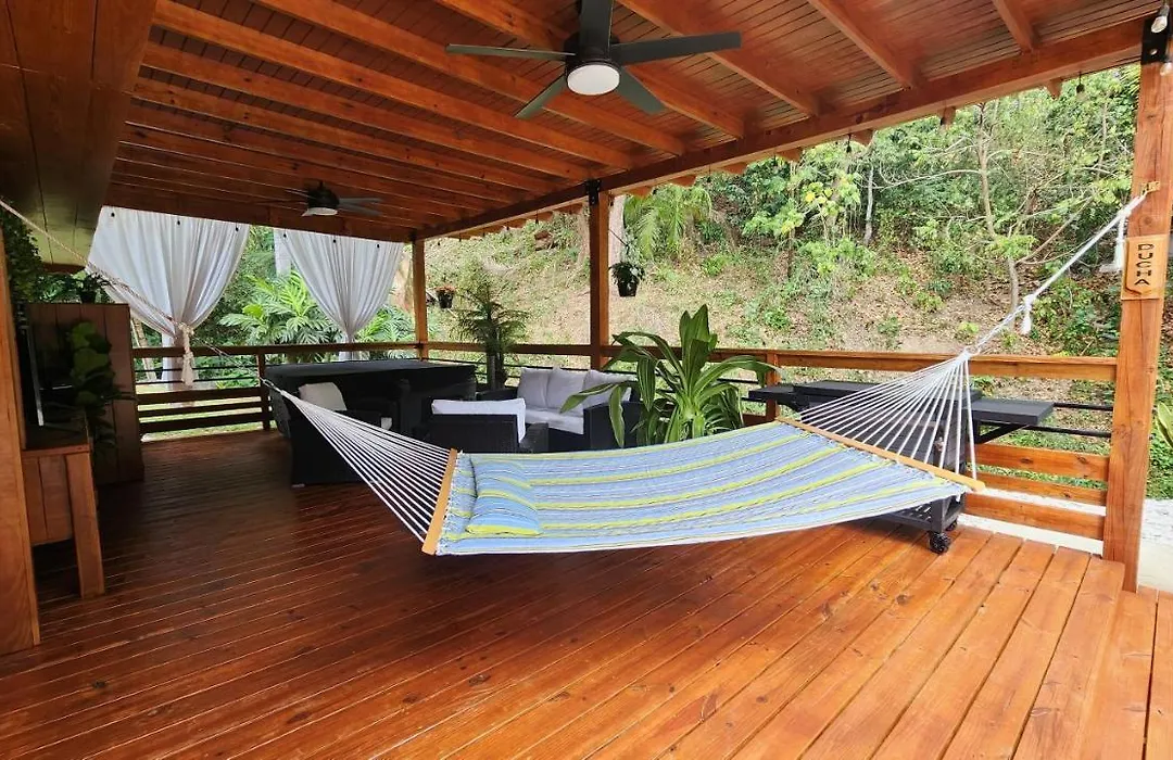 Palm'S Luxury Suite With Private Jacuzzi-1