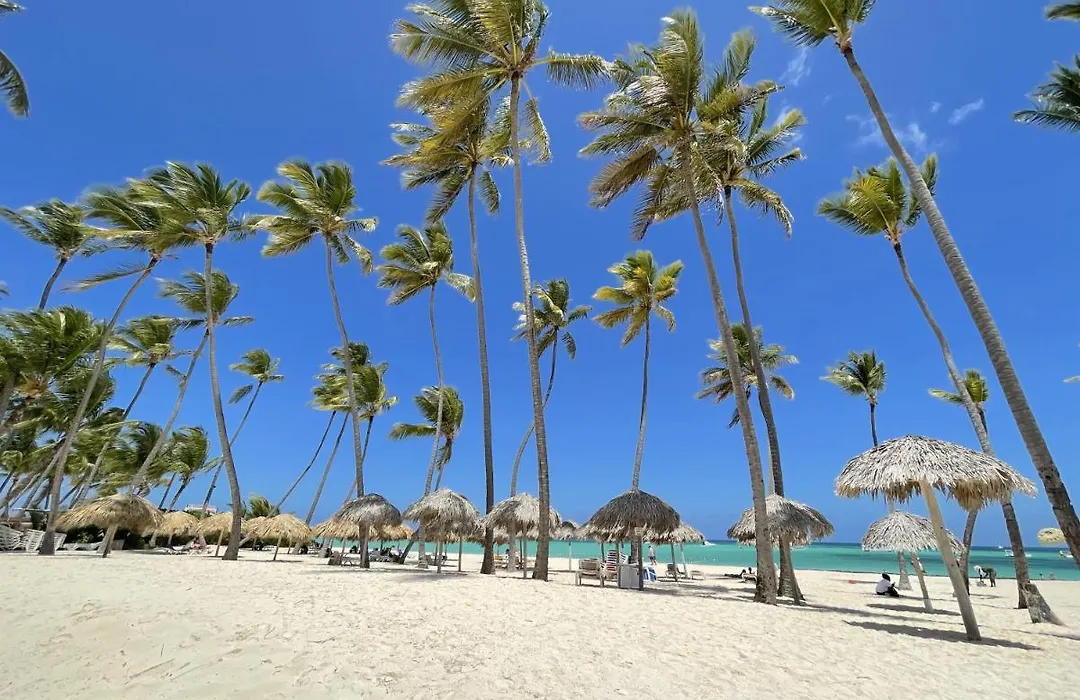 Caribbean Paradise Wifi Hotel Bavaro Beach Club & Spa-1
