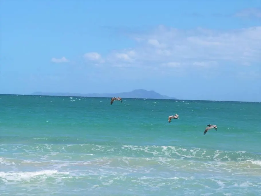 Beachfront Getaway For Two!-1