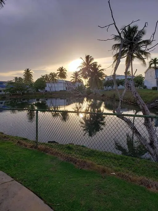 Vacation Villas Dorado P.R-1