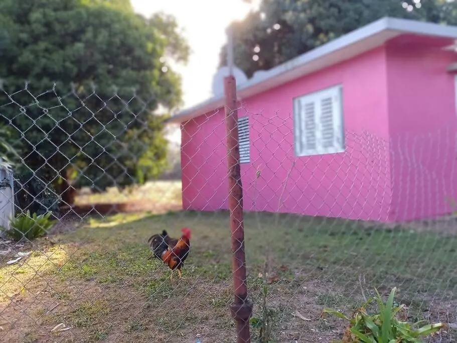 Casita Celenia-1
