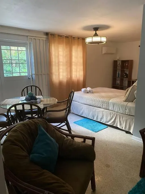 Mayagueez Apt- Up To 4 Guests- Close To Everything-1