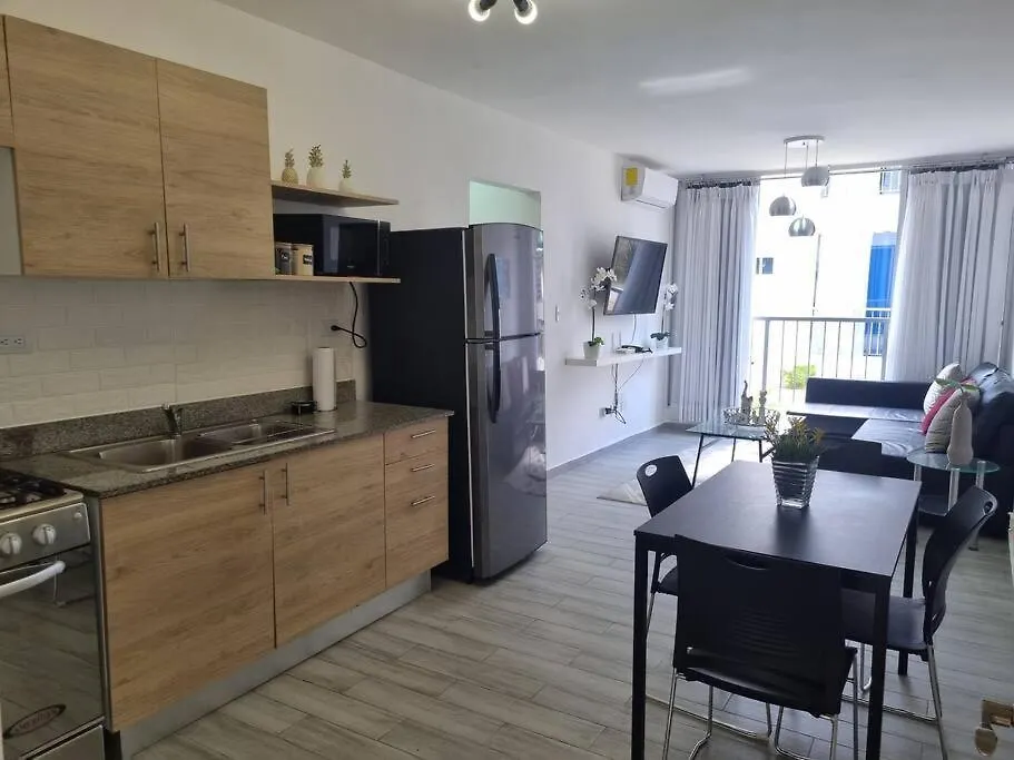 Centrico Apartamento Con Parqueo-1