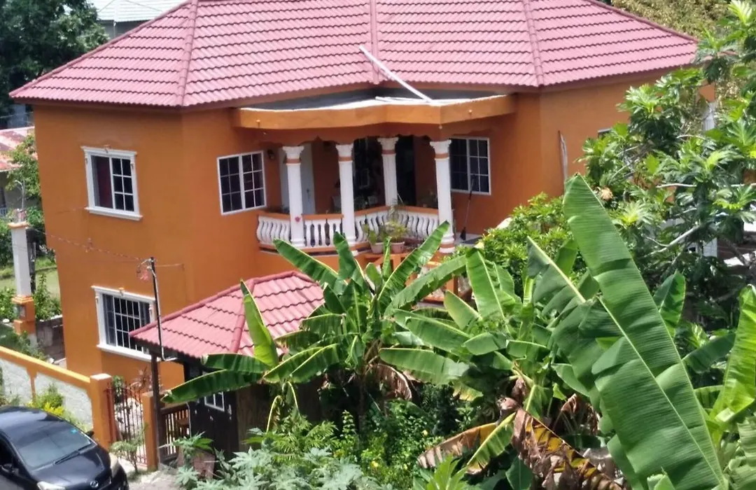 Blue Lotus Tropical Suite-1