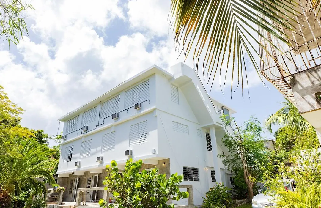 Vieques Tropical Guest House-1