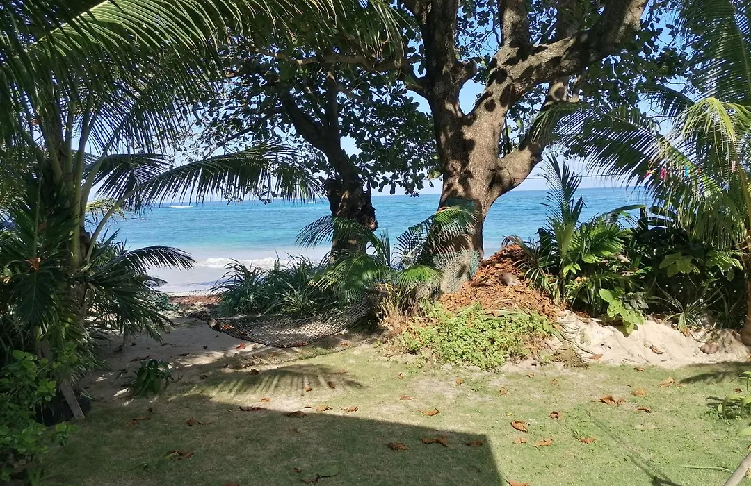 Port Antonio Brian'S Beach House-1