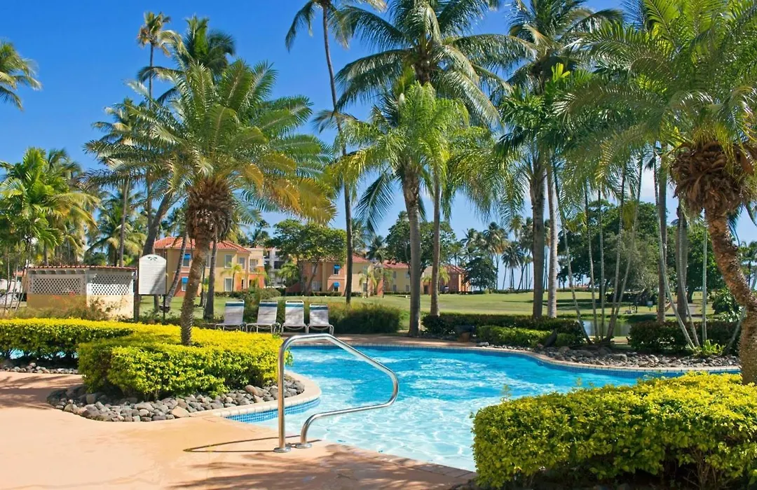 Palm View-1
