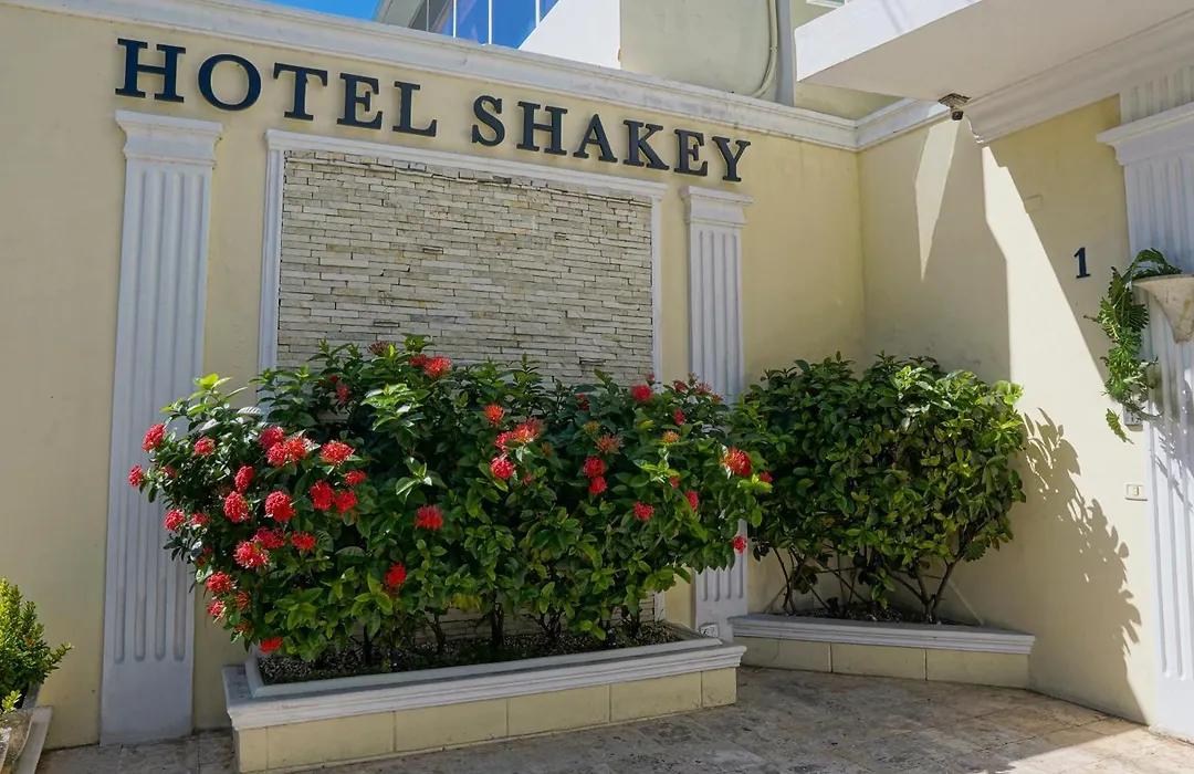Hotel Shakey-1