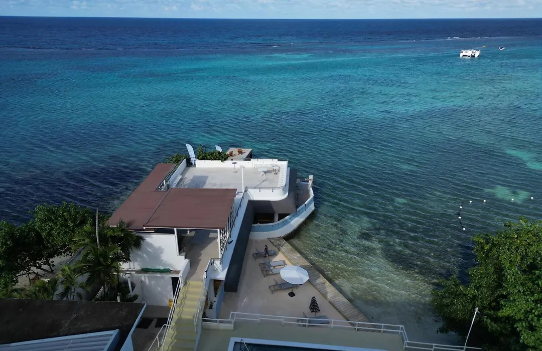 Ocean Palms-1