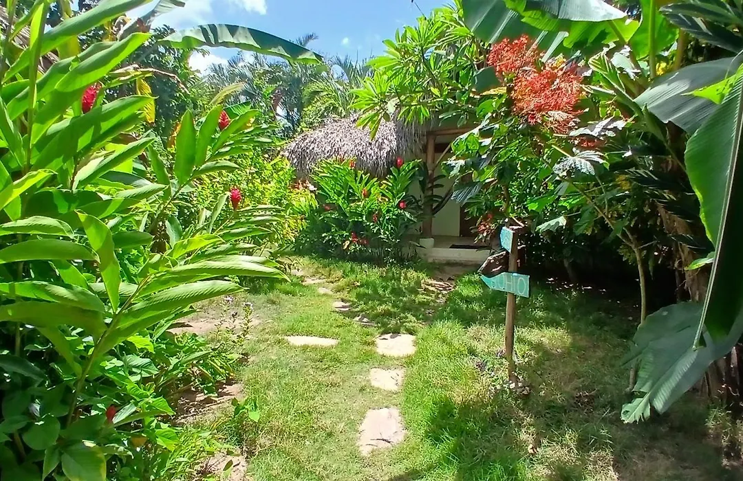 Jungle Hut Near Beach - Nature Lovers-1