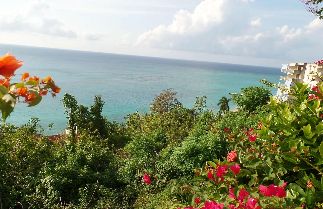 Court Manor At Montego Bay Club-1