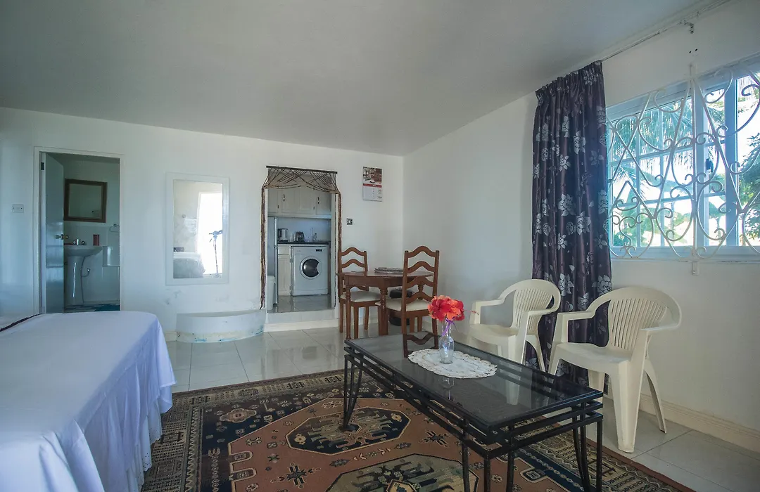 Tall Palms-Ocean View-1