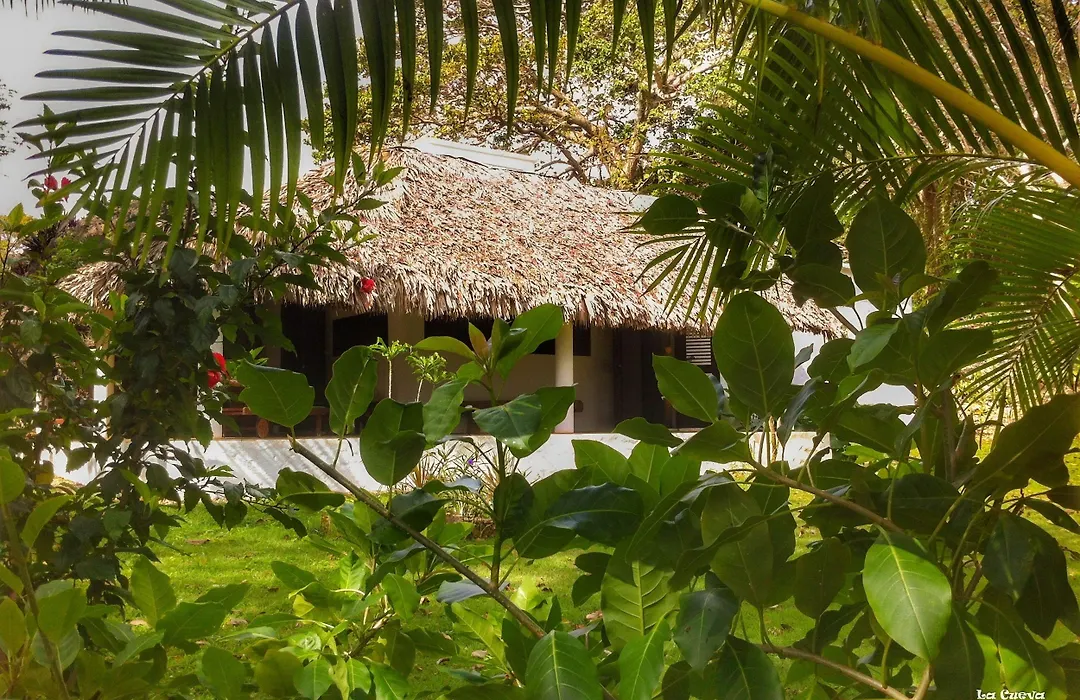 La Cueva Eco-Lodge-1