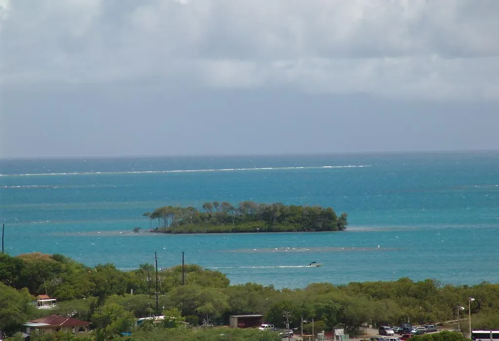 Ocean View-1