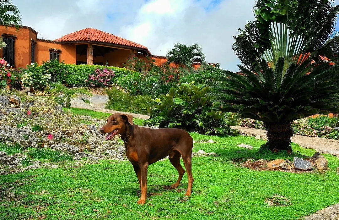 Monte Placido Vacation Homes-1
