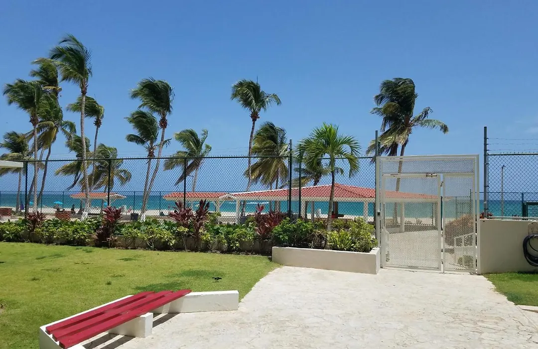 Beachfront Wd King Bed Isla Verde Walk 2 Eat-1