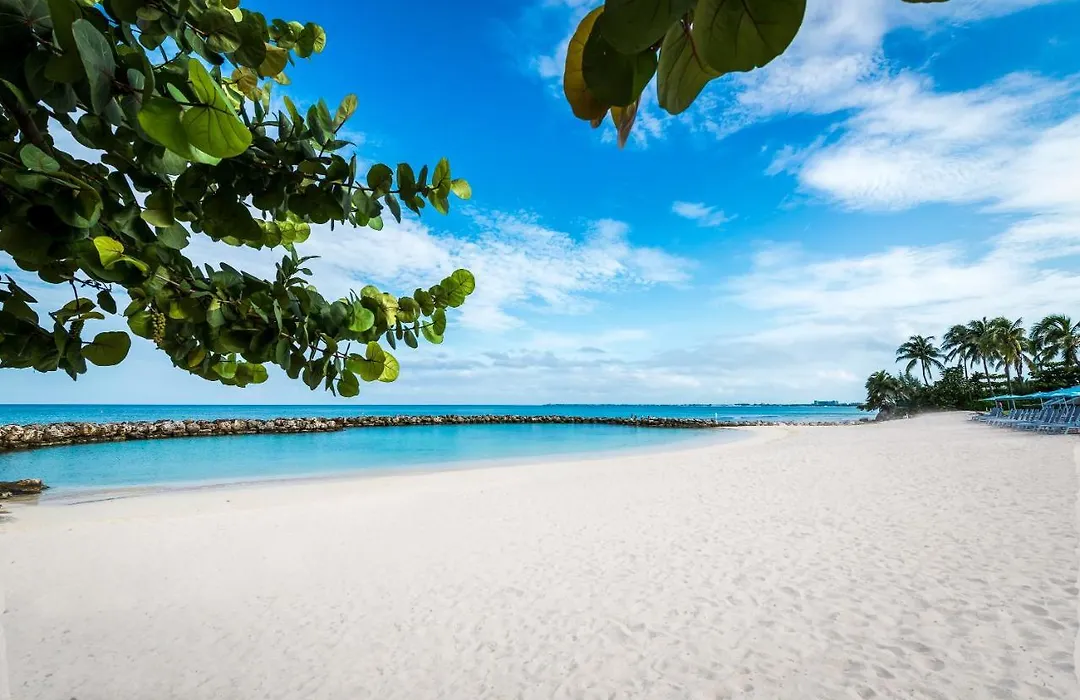 Margaritaville Beach Resort Grand Cayman-1