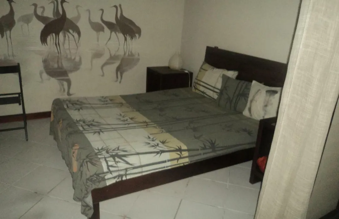 Studios In Caribe Campo-1