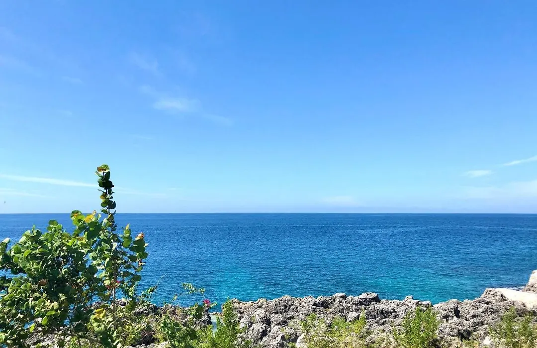 Coral Seas Cliff-1