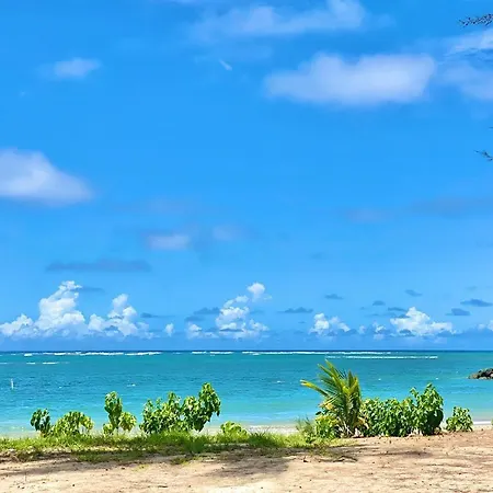 Tropical Breeze 2 Bed 2 Bath-3
