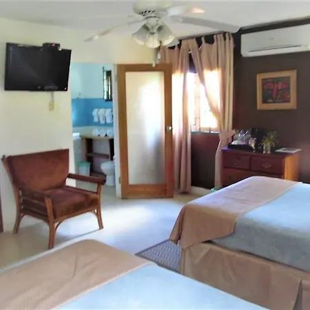 Mynt Retreat Bed & Breakfast-2