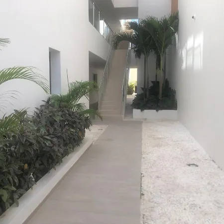 Hermoso Penthouse A Solo Pasos De La Playa-3