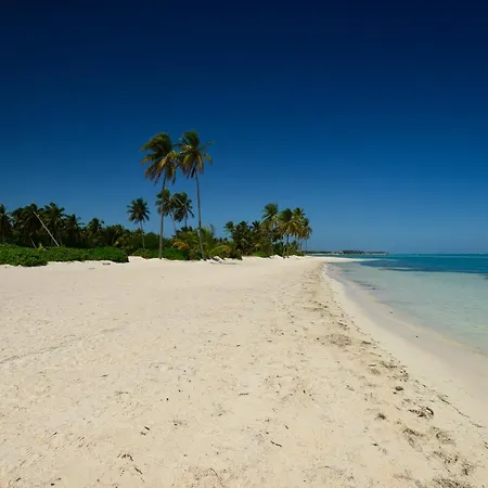Luxury 5-Room Modern Villa With Movie Theater At Exclusive Punta Cana Golf And Beach Resort-3