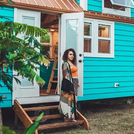 New!! Tropical Tiny Sanctuary-Tiny Home Near Beach-2