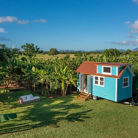 New!! Tropical Tiny Sanctuary-Tiny Home Near Beach-3