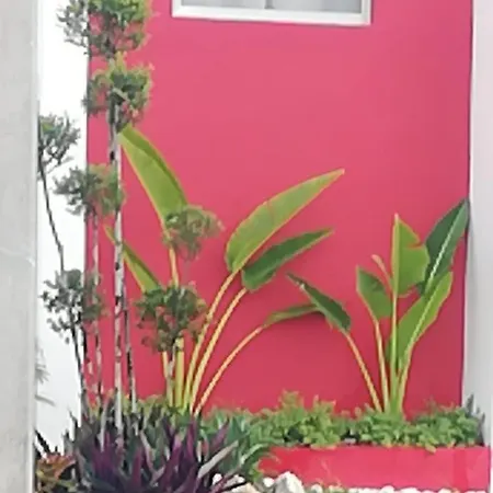 Villa Amarilis1-2