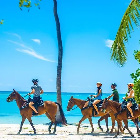 Punta Cana Bavaro Adventure Apartments Sleep & Go Excursions Deals-2