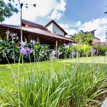 New! Charming Colorful Villa With Private Jacuzzi-2