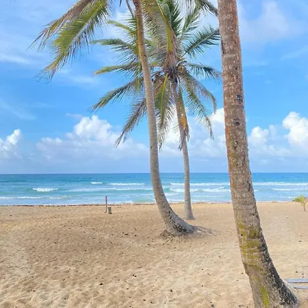 Uvero Tropical Beach Rental #2-2