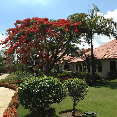 Bellevue Dominican Bay-3